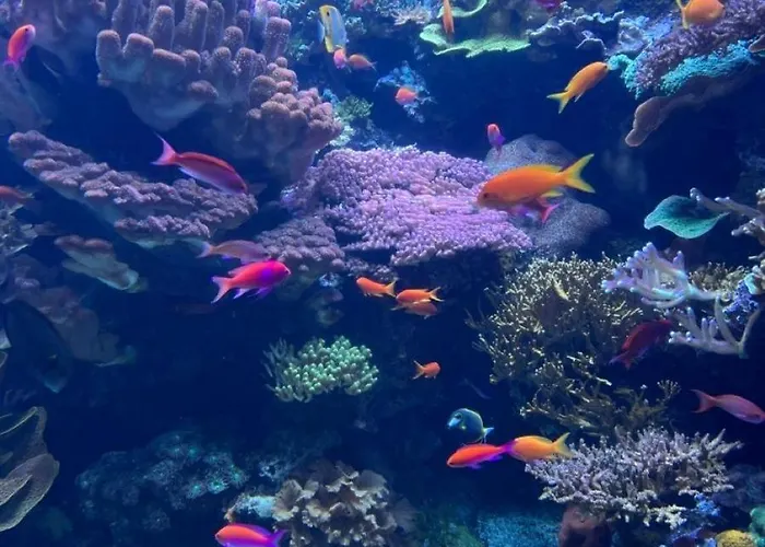 Porto Elsheikh-aqua Park View *
