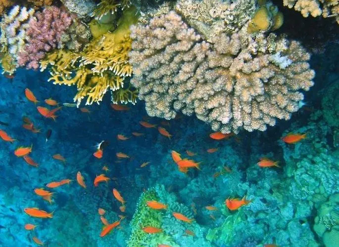 Porto Elsheikh-aqua Park View Sharm El-Sheikh